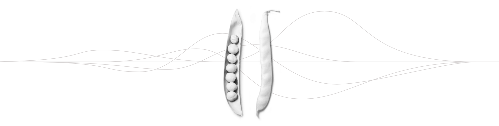 hero-waves-peapod-2022-v5.png